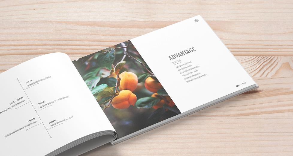 上海黃浦區畫冊印刷的設計需求有哪些？